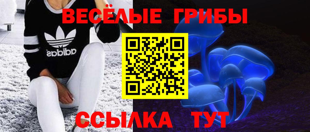 Псилоцибиновые грибы Cubensis Сосновый Бор